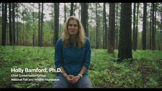 13 reactions | When you hear the word conservation, what comes to...