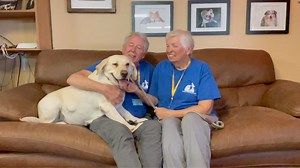 UPDATE: Piper now has a pending adoption! How could you not smile when seeing Piper? Piper is our six-year-old female Lab who is just loads of fun. Watch as Dave and Sue tell you all about her. If what you need is a weighted blanket, Piper would be thrilled to serve that role. If you’d like to meet Piper, please complete an application online on our website. *Note* Piper has a lump on her side. Our vet team had it tested and we’re happy to report that it’s a simple fatty lipoma…completely benign