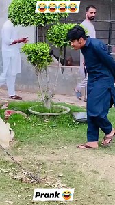 Funny prank with tiger 😂😂😂 #viral #viralreels #trend #trendingvideo #lion #tiger #animals #animalslover #animalssafe #tigerfight #lionprank #funny #comedy #aggressive #lionattack #lionfight #Punjabifacts2 @Punjabi Facts2 | Punjabi Facts2