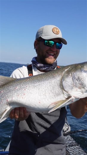 Big water. Big fish. Big performance. Join Denis Isbister of Wild Fish Wild Places as he targets giant Lake Trout with the perfect setup, the Okuma SST Rods paired with Cold Water Reels. These rods and reels are built to handle deep drops, heavy fish, and relentless action. Watch the full video and see this setup in action! Check them out at okumafishingusa.com #OkumaFishing #WildFishWildPlaces #LakeTrout #ColdWaterReels #SSTRod | Okuma Fishing USA