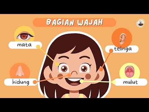 Belajar Anggota Tubuh Dengan Animasi Keren | Mengenal Bagian Badan | Edukasi Anak Usia Dini