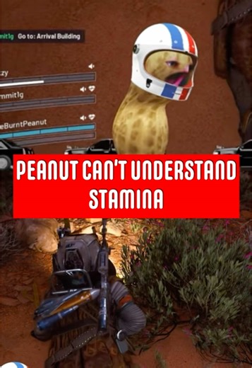 Understanding Stamina with Peanuts: A Fun Exploration