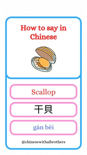 How to say “Scallop” in Chinese Mandarin English: Scallop Chinese (Traditional): 干貝 Pinyin: gān bèi Use this when talking about scallops — whether for grilling, adding to soup, pan-searing with butter, or making rich and flavorful seafood dishes! #LearnChinese #ChineseVocabulary #MandarinMadeEasy #ChineseForBeginners #SpeakChinese #ChineseWords #ChineseLesson #干貝 #Scallop #ChinesePinyin #ChineseMandarin #LanguageLearning #StudyChinese #EverydayChinese #MandarinTips #PinyinPractice #PinoyInTaiwan