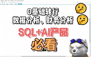 【AI SQL】0基础转行数据分析、财务分析，SQL AI产品必看系列