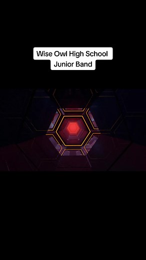 Marimba Rendition by Wise Owl High School Band