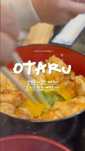 북해도 삿포로 오타루 여행 꿀팁 1일 버스투어가 정답 #삿포로 #북해도 #sapporo