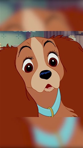 #fyp #usa🇺🇸 #movie #ladyandthetramp #barbaraluddy | Barbarella Movie