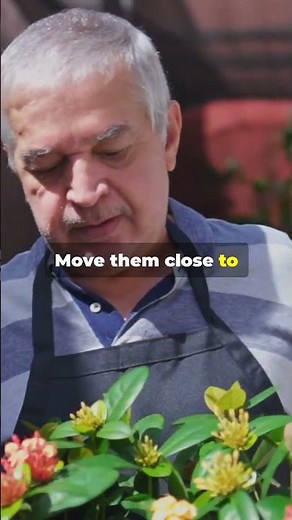 How to Protect Your Garden During a Freeze!