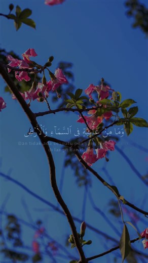 Healing Quran Recitation 2025 ❤️ | Peace for Your Soul #shorts #quran #beautifulquran #muslimcontent