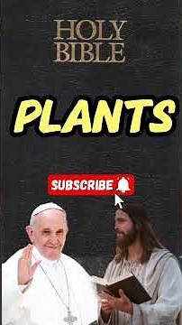 Holy Bible Genesis Chapter 1 Explained | Creation of the World 🌍