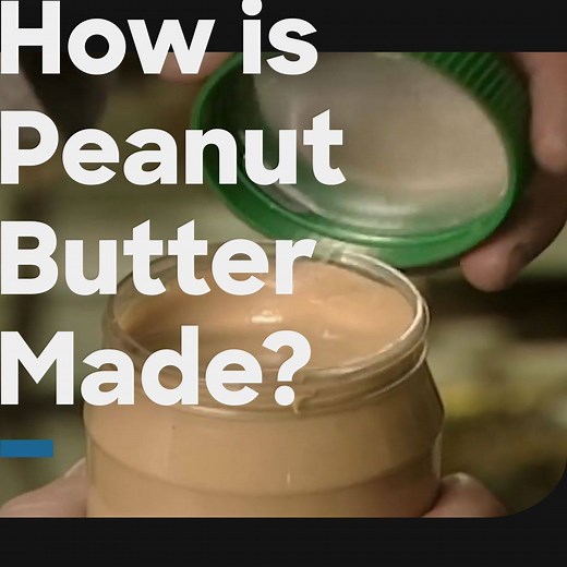 Crunchy or smooth peanut butter? 🥜 | Discovery Channel UK