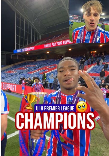 Crystal Palace Beats Man Utd to Win Premier League Cup