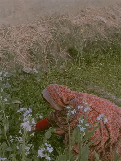 Exploring the Emotional Journey of Dark Life Log