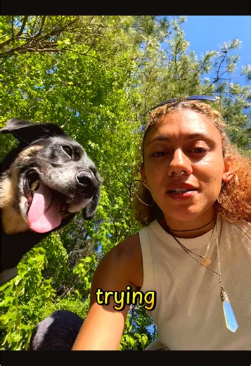 Exploring Simulation Theory and Virtual Realities