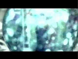 Joan Osborne Love Is Alive