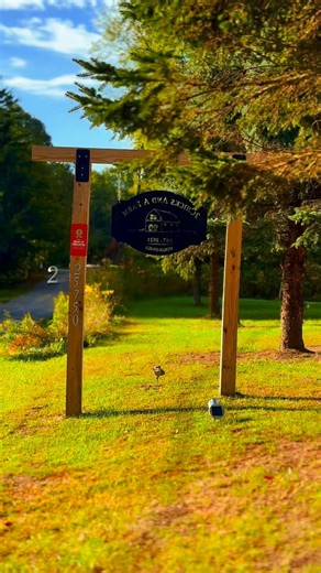 From farm life to community love 🌻 🐐 These two incredible women turned their dream into something that’s feeding both hearts and bellies 💚 When two chicks run a farm, a whole community grows 🐔 💛 Download @hipcamp to find unique places to stay for the night you just might find one like this farm 😎 #bangor #womenowned #michigan #michiganfarmlife #thebigmichigantour | The Wisconsin Explorer
