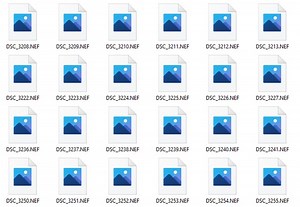 How to enable Nikon NEF image thumbnails on Windows and Mac