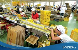 Ada Hal Positif Ini, Saham Sido Muncul (SIDO) Melejit