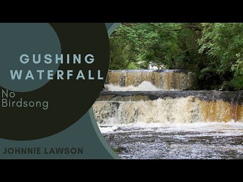 Forest Waterfall Nature Sounds - Gushing Waterfall - 8 Hour Version - Sleeping Series Ep.20