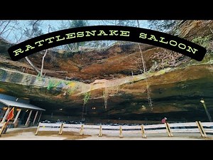 Dining in a CAVE at The Rattlesnake Saloon | Meet My New Family Member!