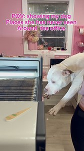 13K views · 76 reactions | What should we show her next ?  | Divine creations nola | Facebook