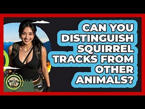 Can You Distinguish Squirrel Tracks From Other Animals?