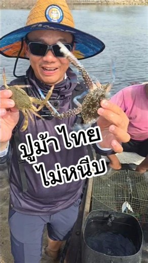 #BlueCrab won't pinch 🤣 #ShoreFishing No fish, so I caught crabs instead