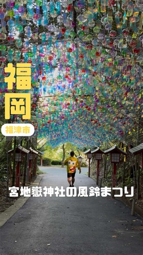 宮地嶽神社 風鈴まつり2026｜昼と夜の天の川が美しい観賞ガイド