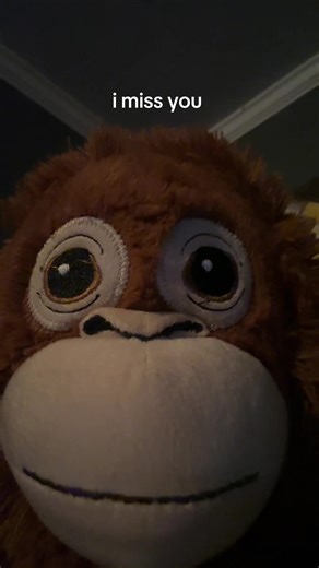 #imy #mrmonkey #urfavmonkey #pookie