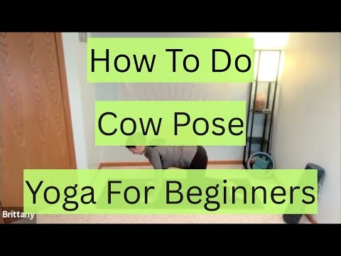 Cow Pose | Beginner Yoga | How To