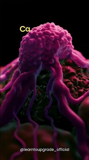 How Cancer Cells Form and Multiply | Complete Biology Explanation for Students