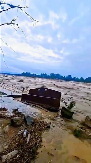 Catching Fish in Flood Water using Nets and Rod Fishing Tricks #Shorts