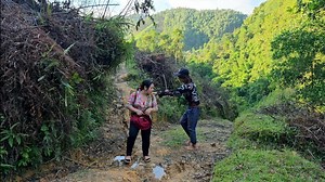 1.1M views · 17K reactions | Harvest banana trees to sell, on the way back, meet strangers and drag them into the house#vangthihoa. Thank you for visiting my channel and supporting the video. Wishing you and your family good health and peace,Always be happy in life ‐‐----------------------- #vangthihoa #LyThiCa | Vang Thi Hoa | Facebook