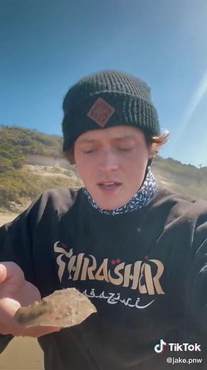 Shrimp Parasite Rescue: A True Story of Oceanic Compassion