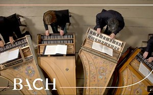 羽管键琴 & 巴赫-a小调协奏曲 Bach - Concerto in A minor BWV 1065 | Netherlands Bach Society