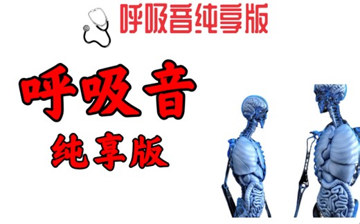 肺部听诊 | 全网最新最全(41种)人体呼吸音