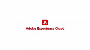 適切なデータのビジュアライゼーションのカスタマイズ | Adobe Analytics