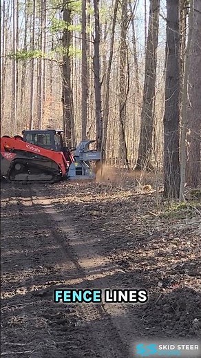 Skid Steer Feller Buncher — Stop Cutting Trees the Hard Way