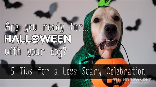 Halloween 🎃 👻 doesn't have to be so scary! Check out these tips for having a safe, and fun Halloween with your dog! 📝 https://bit.ly/3Dottxs | ThunderWorks