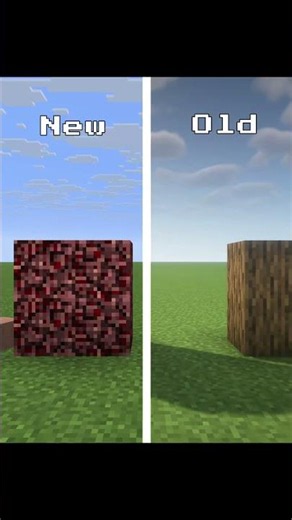 Minecraft New VS Old Textures 😞
