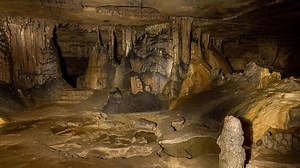 Dunbar Cave State Park offering summer cave tours