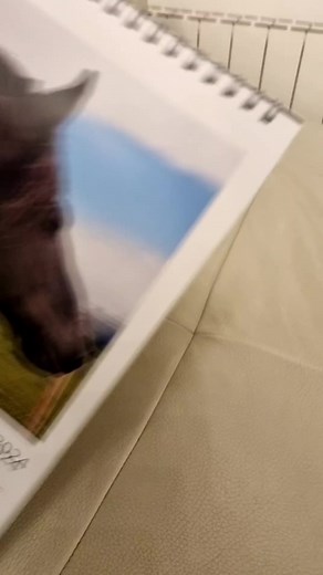 #Calendario Strong Horses | Strong horses/ Caballos fuertes