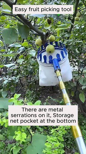 Easy fruit picking tools #gardening #gardentools #gardeningtools #tool #tools #gardeningmakemehappy #handtools #cooltools #satisfying #gardeners #gardeninspiration #gardening #trees #tree #treesofinstagram #treestreestrees #treestagram #gardeningtips | Gardening Greener