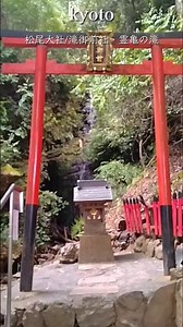 [京都観光]松尾大社/霊亀の滝🫧#京都#京都散歩#京都vlog#旅行#神社参拝#kyoto#shorts#松尾大社#パワースポット