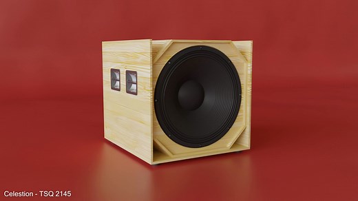 11K views · 115 reactions | Check out this 21-inch bass reflex...