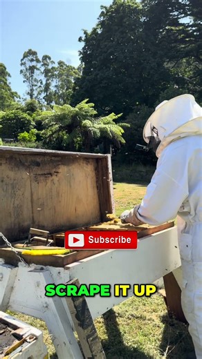 Bee Smoker Mishap: Queen Bee Rescue Mission #shorts
