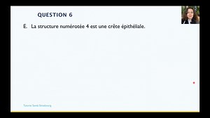Séance LSpS : UE3 Séance 3