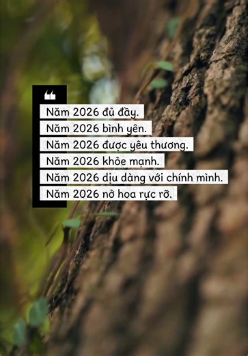 Chúc Mừng Năm Mới 2026 - Manifest Một Năm Tuyệt Vời
