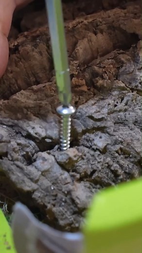 GECKO TANK SETUP WHO DID IT BETTER? | Hannah Feder