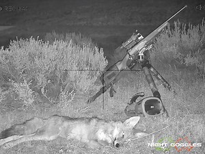 6.6K views · 35 reactions | Even using thermal, sometimes you have to keep your eye on the ball... and not the owls that start circling your call...Boss!! :D | Night Goggles, Inc | Facebook